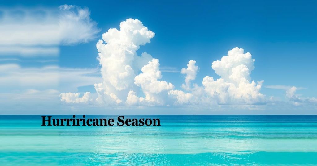 A serene coastal landscape under a bright sky depicting seasonal changes with tropical storm potential.